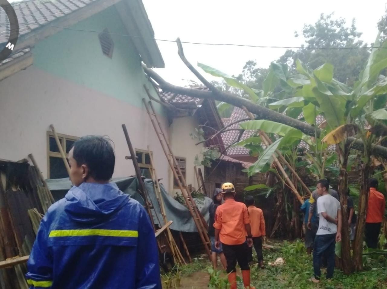 Hujan dan Angin Kencang Landa Kota Banjar, Pohon Tumbang Timpa Rumah