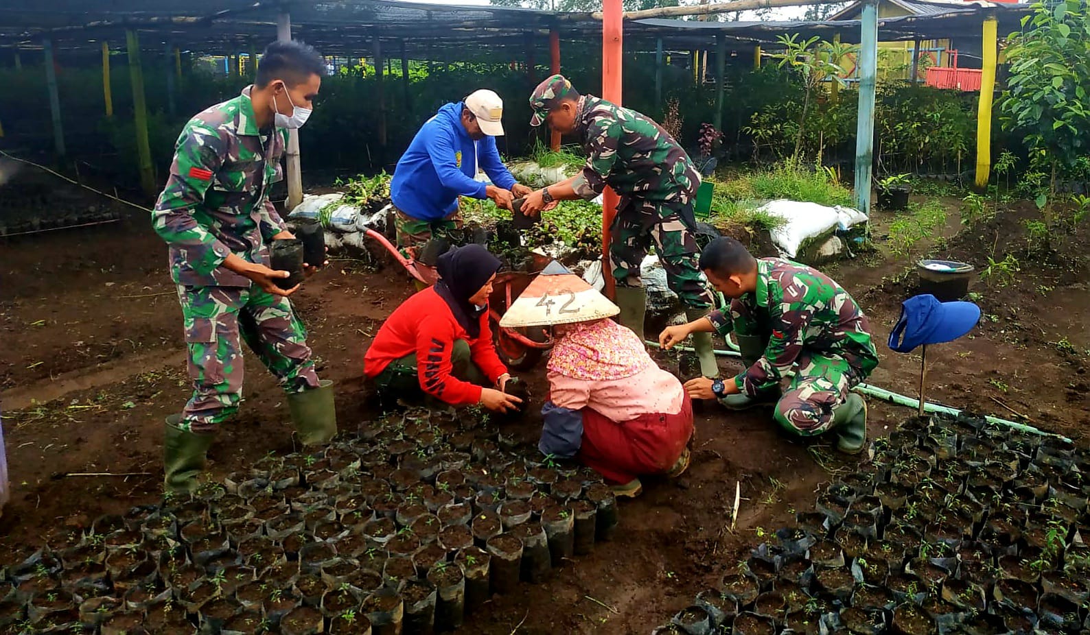 Kapendam III Siliwangi: Ribuan Bibit Tanaman Siap Dipasok ke Seluruh Sektor Citarum Harum