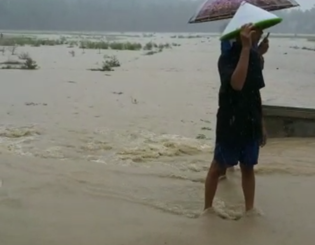 Ratusan Hektar Sawah Milik Warga di Pangandaran Terendam Banjir