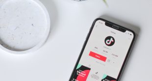 Website Download Tiktok Tanpa Watermark