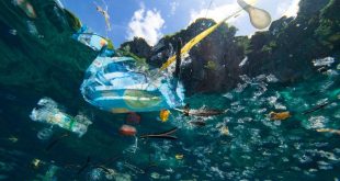 Sampah-Sampah ‘Berjemur’ di Pantai Bali